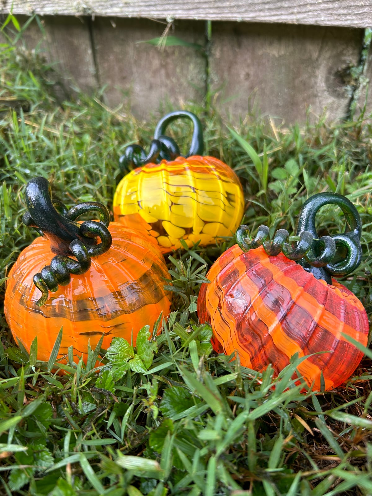 Three orange and yellow glass pumpkins with curled dark stems in the grass